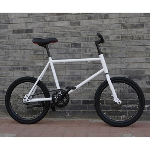 GrdMis ���]��20�C���`�y�� �}�E���e�� �o�C�N ���o�[�X �����^�� �T�h�����������\�A�ω׏d120kg �B�X�N�u���[�L�A�u���[�L���x �h���^�C�� ���Y�f�|�t���[�� �A�b�v�O���[�h�\�ȃ\���b�h�^�C���A���a�Ԓj�����p ��l �q���p �ʋ� �ʊw �X��