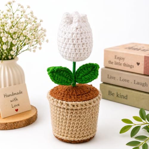 Image of Handcrafted Crochet Flower Pot | 7 Inch Handmade Wool Flower Plant | Premium Soft Yarn Decor | Cute Desk & Home Decoration | Unique Gift for Birthday, Anniversary & Valentine (Tulip)