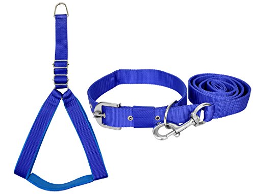 Image of No Pull -Step in Soft Padded Buckle Dog Harness and Collar Leash - Escape Proof Adjustable Combo for Walking Training Hiking Outdoor (Blue, Extra Small)