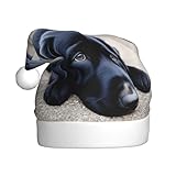 WHJDPP Bonito sombrero de Navidad con imagen de perro labrador para adultos, para Navidad, Halloween, Año Nuevo, ventas, promociones