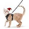 rabbitgoo Cat Harness and Leash for Walking, Escape Proof Soft Adjustable Vest Harnesses for Cats, Easy Control Breathable Reflective Strips Jacket, Black, S