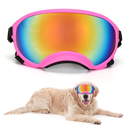 How do you know if your dog has cataracts
