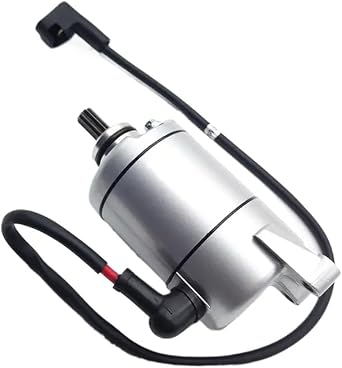 Electric Starter Motor for YF300 CR6 LX300-6A Retro Water Cooled Motorcycle Compatible with VOGE300R 300CR6 300DS GY300 Models