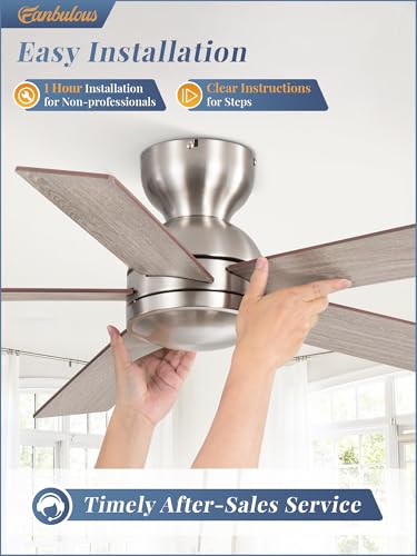 Image of Fanbulous 42 Inch Brushed Nickel Ceiling Fan without Lights, Modern, Remote