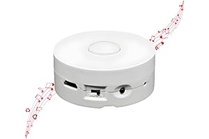 Teddy Bear Voice Recorder: Capture Cherished Memories with Your Furry Friend