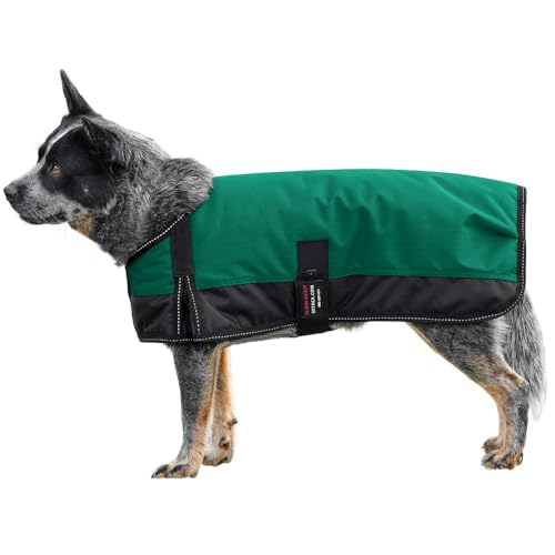 Schneiders Insulated Waterproof Reflective Dog Coats II | Reflective Stiching | 600D Polyester Waterproof | Soft Nylon Lining | Medium Weight 200gm | Color Green | Size Medium