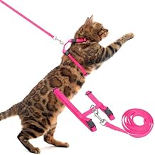 PUPTECK Adjustable Cat Harness and Leash Set Escape Proof Kitten Strap Collar for Walking Travel, Hot Pink