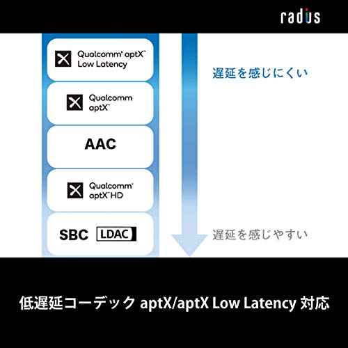 ラディウス radius HP-R100BT ワイヤレスイヤホン : Bluetooth対応 Ne ハイレゾ LDAC aptX HD aptX LL対応 低遅延 HP-R100BTK (ブラック)