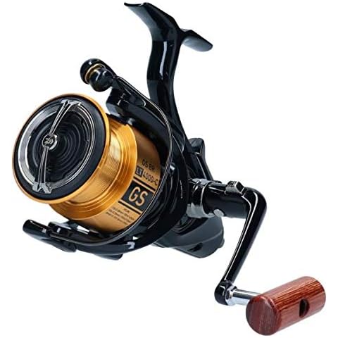Carrete Daiwa 20 GS BR LT con rueda libre Cover