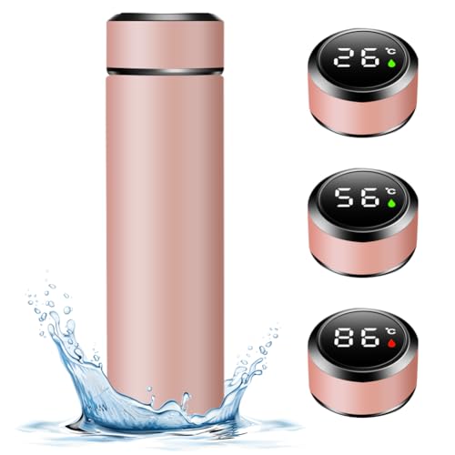 Termo de 500 ml con indicador de temperatura LED, termo de acero inoxidable 304, con pantalla táctil LED, a prueba de fugas, sin BPA, para casa, oficina, viajes, deportes