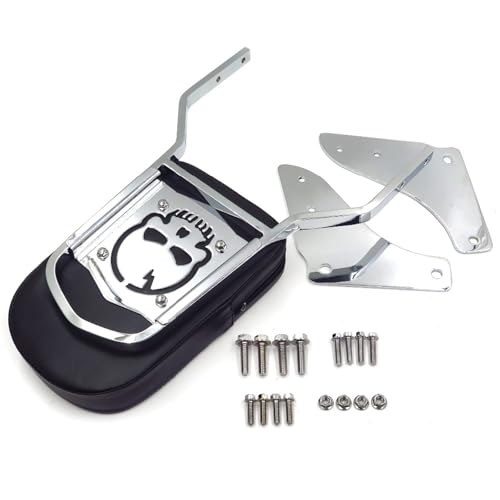 Dossier Crâne Sissy Bar Pad Shadow ACE 1100 Tourer Moto - 4