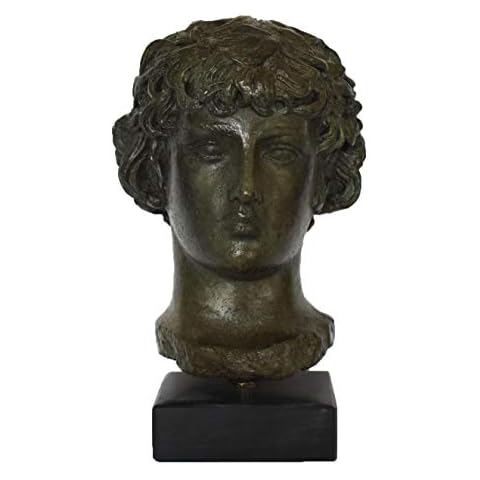 Harilla Antinous Bronze Bust Statue Cover