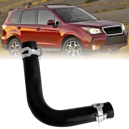 Manguera de purga del cárter Subaru Forester para evitar fallos de ralentí y PCV 3