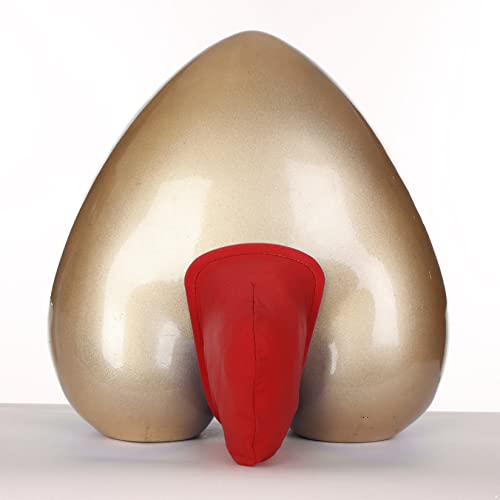 Lejafay Men's Sissy Chastity Cover Lingerie Invisible C-String Underwear Mini Briefs Thongs T Black4