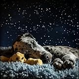 Winzige Traumland Klanglandschaft