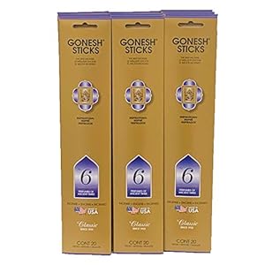 Gonesh incense sticks extra rich collection no6 perfumes of ancient times 12 pack 20 stickspack  urban country home decor