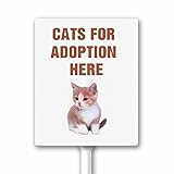 Letreros comunitarios de gatos para adopción, letrero de vecindario con estaca, letrero de césped, 12 x 15 cm, resistente, libre de óxido, resistente a la intemperie, fácil de instalar