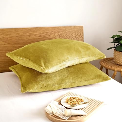 COYOLI Jo[ 43×63 ~ tl  ӂӂ }CNt@Co[ 􂦂 SJt@Xi[ nj[}X^[h [M 1/1] 13351