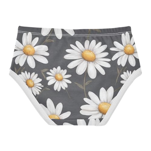 Wusikd Daisies Girls' Underwear Cotton White Girls Briefs Soft Toddler Underwear 2T2