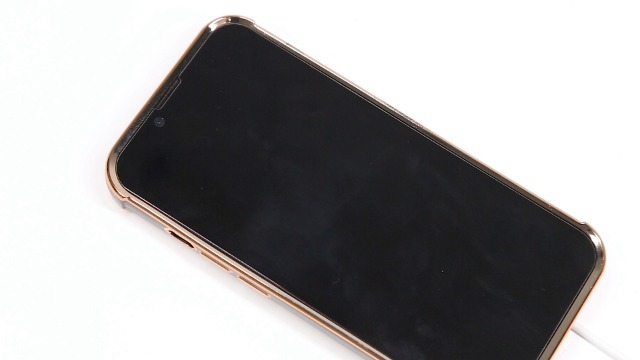 【グッチ】BlindforLove Bee iPhone7/8/SEケース BG GUAGUA Case for iPhone 8 iPhone 7 iPhone SE 2022/2020, Cute