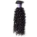 UNice Hair Kysiss Series Brazilian Curly Hair 1 Bundle Virgin Hair Weave 100% Unprocessed Human Hair Extensions Natural Color (12inch)