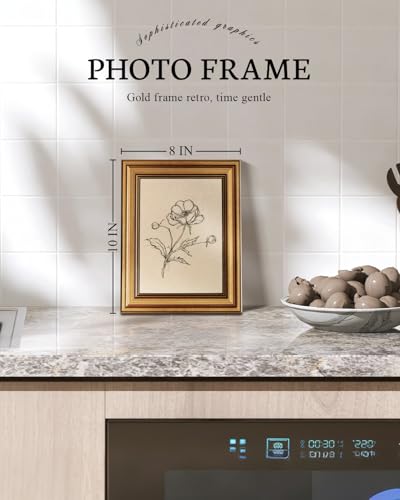 Image of VIYYIEA Vintage Gold Framed Wall Art for Living Room, Poppy Canvas Prints Home Decor, Sketch Painting Picture, Bedroom Wall Decor Gifts for Friends or Family -【Poppy】-(10L x 8W)