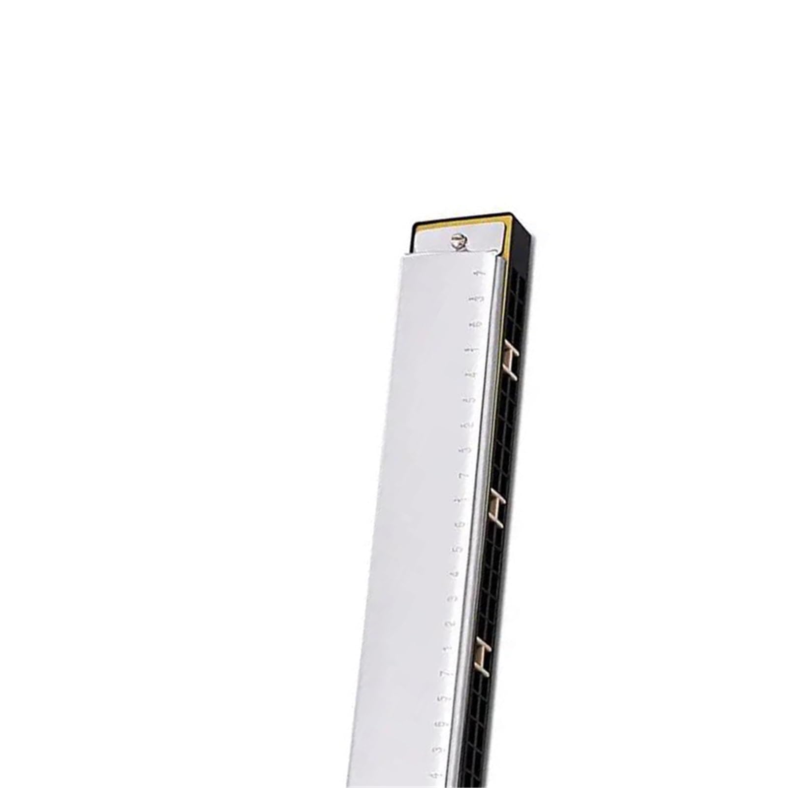 Armonica Armonica A Bocca A 24 Fori In Do Con Tremolo E Custodia Per Adulti