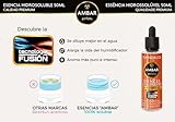 TIENDIFY - Esencia Hidrosoluble 50ml Ambar Perfums | Especial...