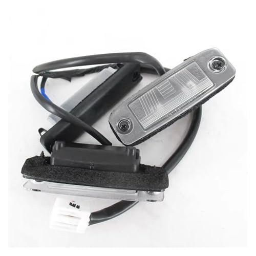 Luz matrícula sin error para Kia Sportage solucionando fallos de testigo 5