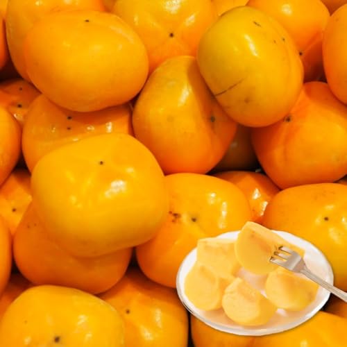 [݂̂₳] Ȃ` y󂠂z ` a̎RY ˂Ȃ 햳 3kg (ƒp TCYs LY)