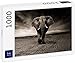 Lais Puzzle Elefante 1000 Piezas