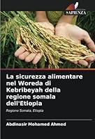La sicurezza alimentare nel Woreda di Kebribeyah della regione somala dell'Etiopia 620538163X Book Cover