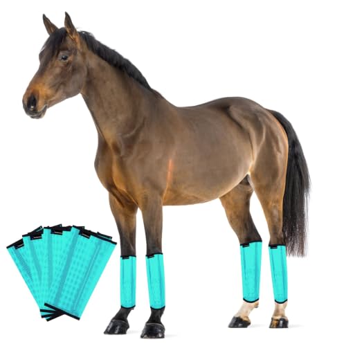 Image of FOXLVDA Horse Fly Boots (Medium)