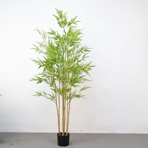 バンブー 観葉植物 竹」の人気商品一覧 | 安い商品を通販サイトから