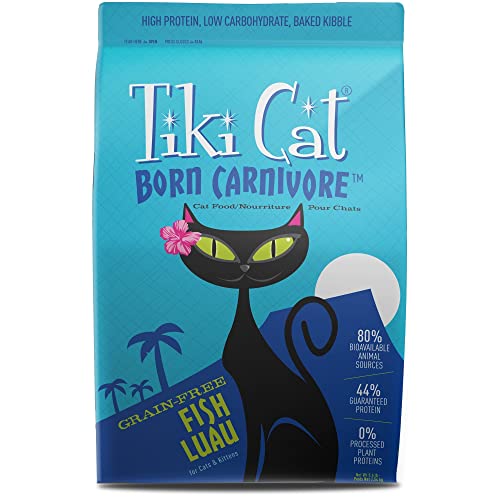 Tiki Cat Food Is As Succulent As It Sounds [Review] Lelu & Bobo