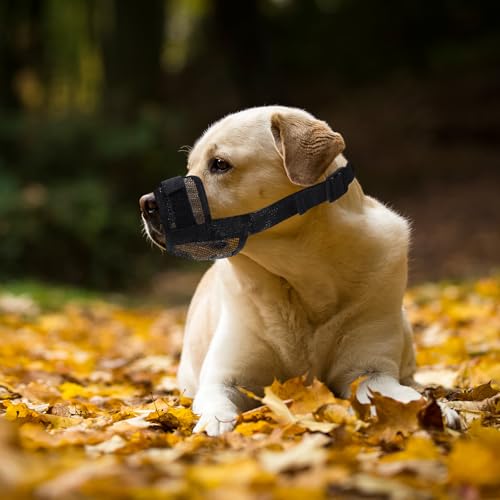 3 Stück Maulkorb Kleine Hunde Schwarzer mit Klettverschluss, Verstellbarer Giftköderschutz Hund zum Verhindern von Beißen, Bellen und Kauen für Hundemaulkorb für Kleine Hunde(Klein)