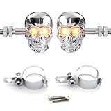 Cuhubyup Skull Head LED Amber Turn Signal Motorcycle Turn Signals Universal 10mm Screw Blinkers Indicator Light(Silver)