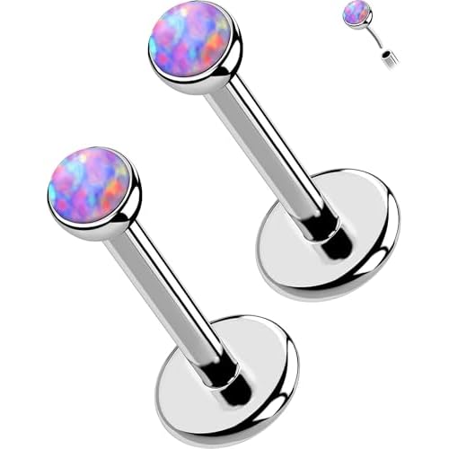 OUFER 2PCS 16G/20G Nose Lip Studs, G23 Solid Titanium Threadless Push in Nose Nostril Lip Labret Medusa Monroe Helix Cartilage Tragus Conch Lobe Piercing Jewelry for Women Men Silver bar,Pur