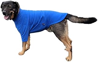 Hotterdog Jumper LARGE GREEN