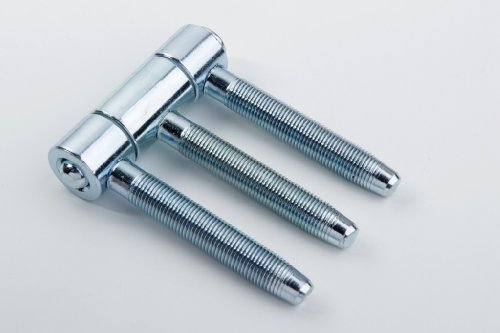 Young Schwinn - Bisagra de clavija para marcos de puerta (18 mm, galvanizado, 2 unidades), color blanco