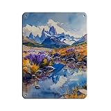 Matériau : étain/métal, avec plaque en étain de style nostalgique. Dimensions : 20 x 30 cm et 30 x 40 cm