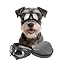 Medium Silver lens