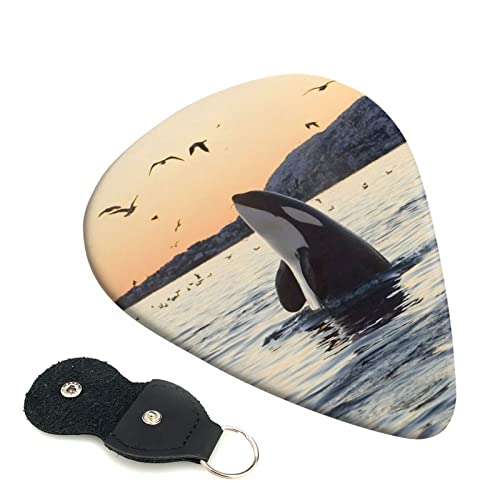 Whale Above Lot de 6 médiators imprimés avec boîte de rangement pour guitare acoustique et électrique - Les Beatles, Paul McCartney, John Lennon, RIngo Starr, George Harrison Whale Above Lot de 6 médiators imprimés avec boîte de rangement pour guitare acoustique et électrique