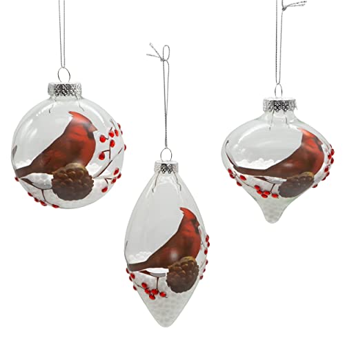 Kurt Adler 80MM Glass Transparent Cardinal Ball, Onion and Teardrop Shaped Ornaments, 3-Piece Set by Kurt S. Adler - Used condition - Image 2