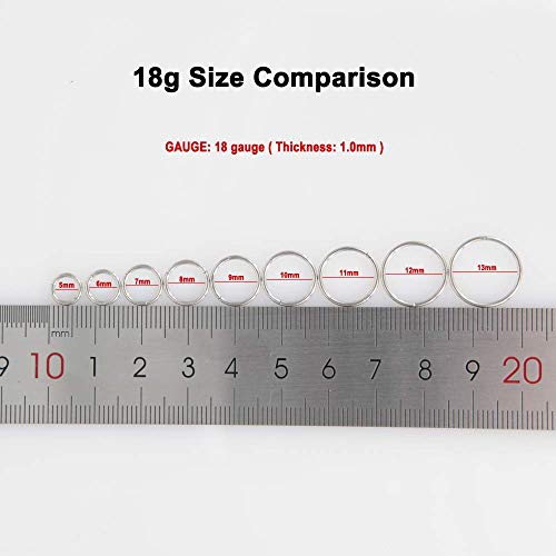 Image of FANSING Men Women 316L Surgical Steel Hinged Nose Rings Hoop for Nostril Septum Cartilage Helix Daith Tragus Rook Conch Lip Ear Lobe Piercings
