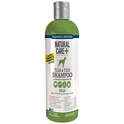 Natural Care Flea and Tick Dog Shampoo | Flea Treatment for Dogs |