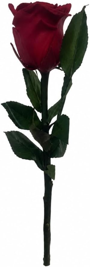 Preserved Real White Rose Flower, Forever Rose with Long Stem, Natural Fresh Rose Preserved for Years, Romantic Gift for Anniversary, Wedding, Valentine's Day, Birthday, Home Decoration
