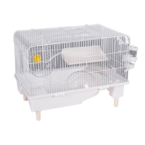 NDGBNIKGnX^[P[W w {P[W ``p ^ i ʑ lG jo[T  SZbg (Rrl[VLbX fbNX (ItzCg))