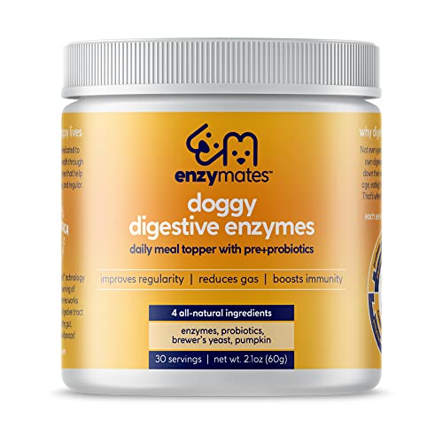Top 10 Best Digestive Enzymes For Dogs Reviews & Buying Guide Katynel