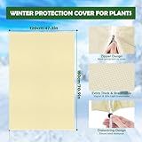 Winterschutz für Pflanzen Test